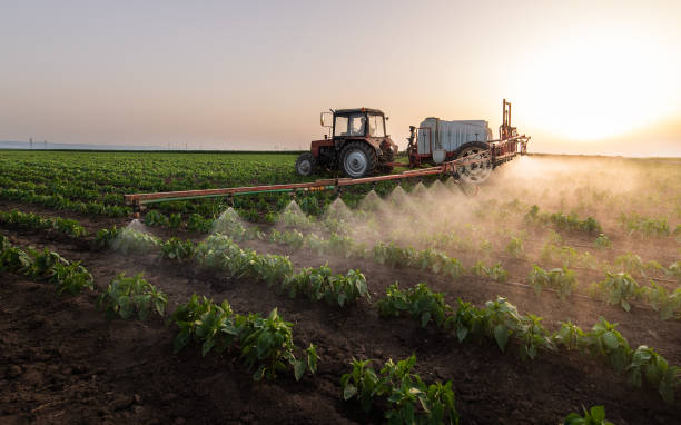 Best Pest Removal Services  in Yutan, NE